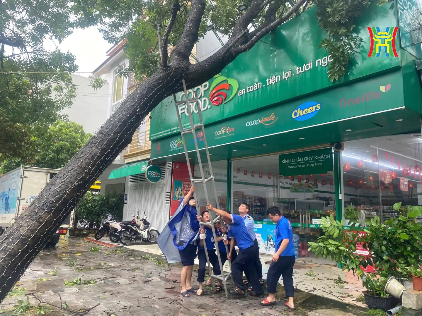 Đài PTTH Hà Nội